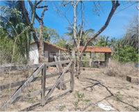 Fazenda Coqueiro - Área de 33,59 hectares
