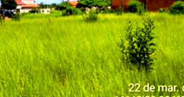 Terreno Urbano com 240m² em Rolim de Moura/RO