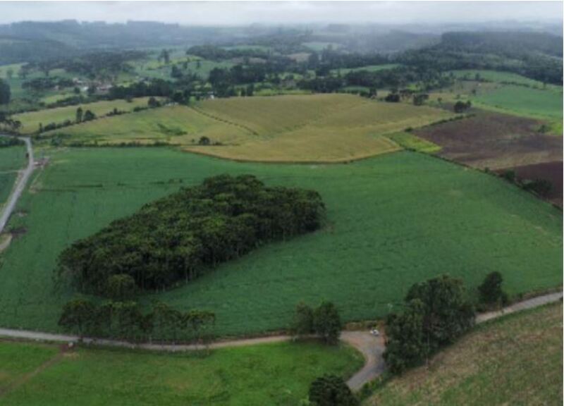 Terreno rural amplo com 169.400m², sem benfeitorias