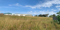 Terreno 250m² em Catalão/GO - Oportunidade de Investimento