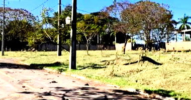 Lote Desocupado em Pérola - 802.39 m²