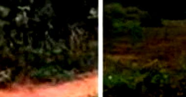 Terreno Amplo com 51.581 m² em Teresina