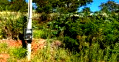 Terreno de 253,47m² ocupado, ideal para investimento