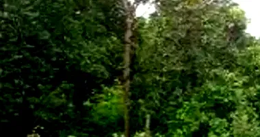 Terreno Amplo em Paraíso do Tocantins - Jardim das Acácias