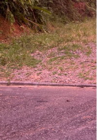 Terreno com 4.587,57 m² em Joinville, ideal para investimento