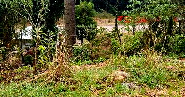 Terreno com 378m² em Nova Petrópolis/RS