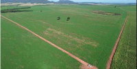 Fazenda Maracanã Rural com 159HA em Sidrolândia - MS