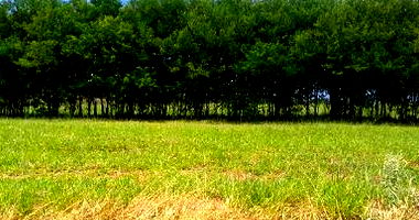 Terreno Urbano de 200 m² em Parque Residencial Belo Horizonte