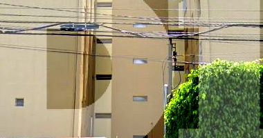 Apartamento 57,83 m² com 1 vaga no Parque das Árvores