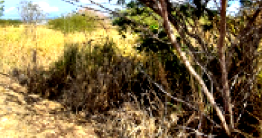 Lote de Terreno com 995m² em Gravatá/PE