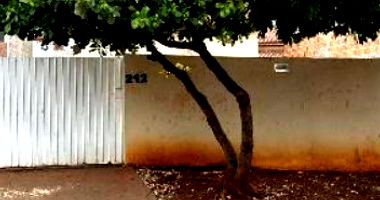 Casa com 2 quartos em Rio Brilhante/MS