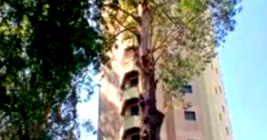 Apartamento Duplex de 429m² no Morumbi, São Paulo