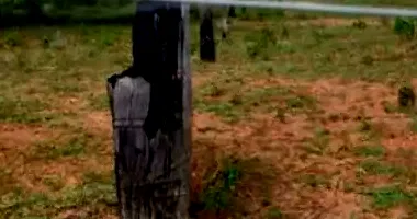 Área Rural em Fazenda Araguaia IV com 174ha - Oportunidade Única