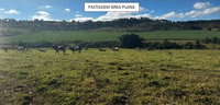 Área Rural com 38,2554 Hectares - Parte Ideal 44,42%