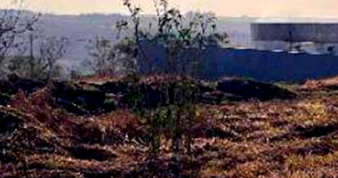 Lote padrão desocupado com 500 m² de terreno