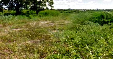 Terreno de 1.000m² em Área Rural