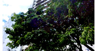 Apartamento 201 - 76,89m² - 2 Vagas - Salvador/BA