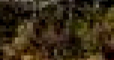 Terreno Amplo em Luziânia - 1.200m²