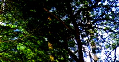 Apartamento 1º pavimento com 1 vaga, 39,62m² privativos, ocupado