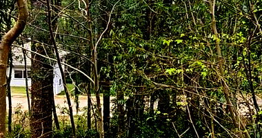 Terreno com 378m² em Nova Petrópolis