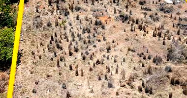 Terreno Industrial Amplo em Formosa/GO