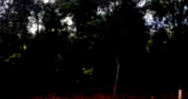 Lote de Terreno Amplo em Condomínio Fechado