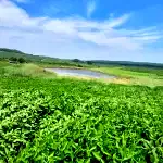 Fração de campo com casa de 6 peças e barragem, área 15,56ha