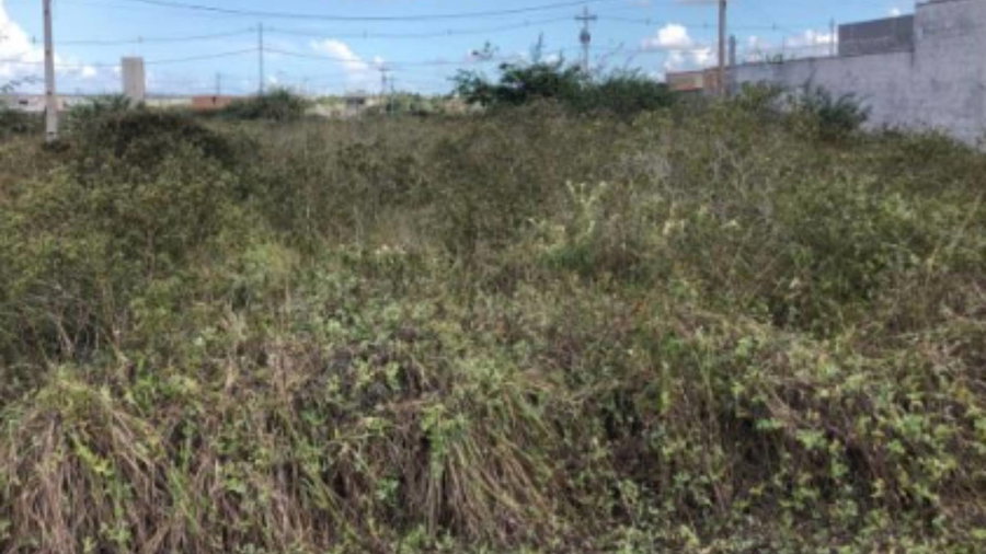 Terreno 140m² com ocupação, ideal para investimento