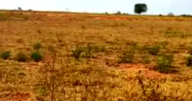 Terreno desocupado com 250m² em Jardim Botânico I, ótimo para investimento