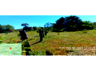 Fazenda Alto da Serra - 117,26 hectares em São Valério/TO