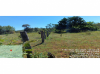 Fazenda Alto da Serra - 117,26 hectares em São Valério/TO