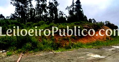 Terreno Rural 7,8 ha em Bom Retiro, área total ampla e cercada