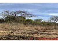 Área Rural de 50,07ha ocupada em Buritis/MG