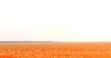 Direitos sobre Parte Ideal de Área Rural 195 ha