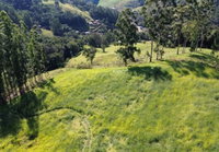 Chácara Rural 2,75 ha em Mato Rico-PR | Oportunidade Única