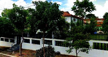 Propriedade agrícola com casa sede, barracão e plantações, 36,3 ha