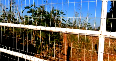 Terreno com 446,15m² em Palminópolis/GO