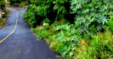 Imóvel com Lava Jato em Xaxim - 135m² de Benfeitoria