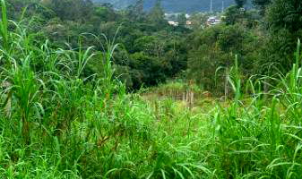 Terreno amplo de 386m² em Biguaçu, Areias de Cima