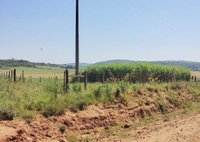Terreno rural 110.000m² com ocupação em Maçambara/RS