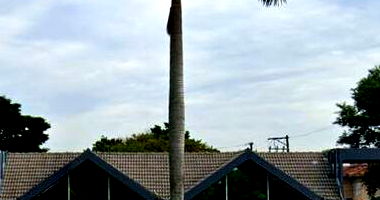 Casa com 4 quartos, 2 suítes, 2 vagas, 488m² construída, ocupada