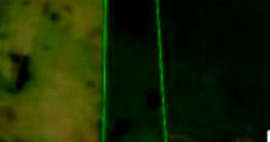 Gleba de terras com 6,0500 ha em Nova Tebas/PR - Ocupada