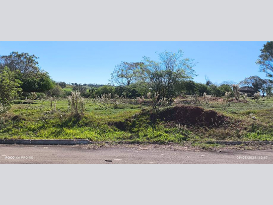 Loteamento em Pérola - PR, 597,5 m²
