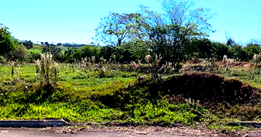 Loteamento em Pérola - PR, 597,5 m²