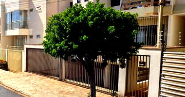 Prédio Residencial em Construção - Jardim Irajá, Ribeirão Preto/SP