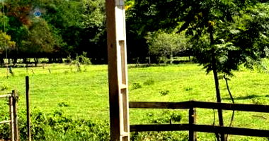 Imóvel Rural com 2,42 ha em Pato Bragado-PR