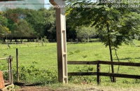 Imóvel Rural com 2,42 ha em Pato Bragado-PR