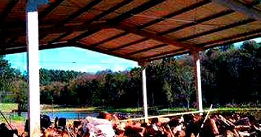 Terreno Rural com 53.680m² em Dois Vizinhos - PR