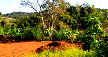 Terreno Urbano com 993,58m² em Dois Vizinhos-PR