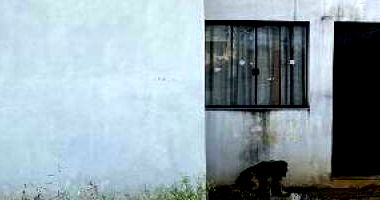 Casa com 40,05 m² em Varginha/MG